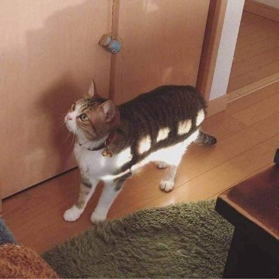 水电工