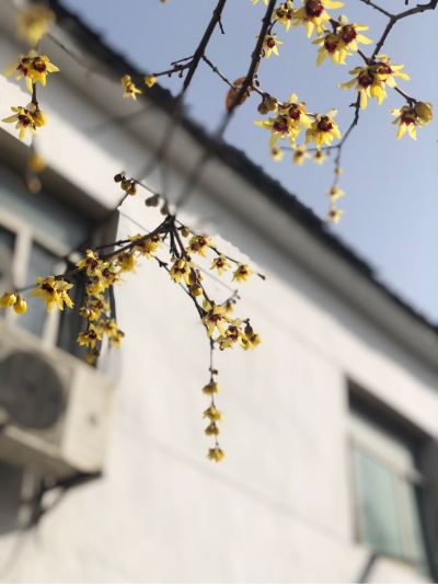门窗玻璃房顶清灰