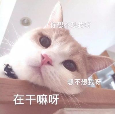 承包管廊