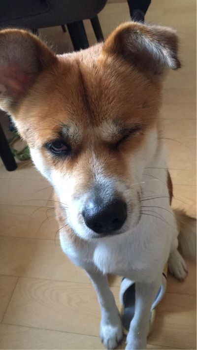 不锈钢定制
