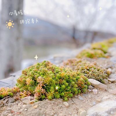 无
