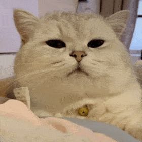 卫浴安装卫浴安装卫浴维修卫浴量尺