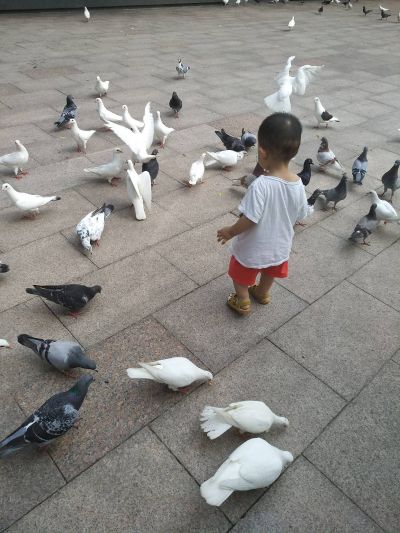 接单家具安装