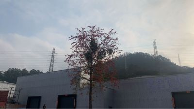 陶石
