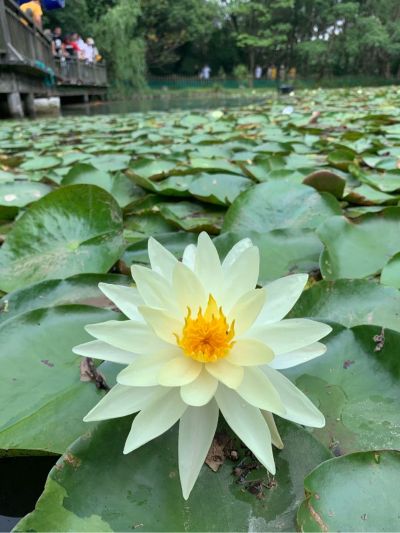 家电卫浴