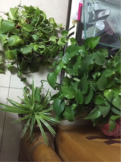电焊工