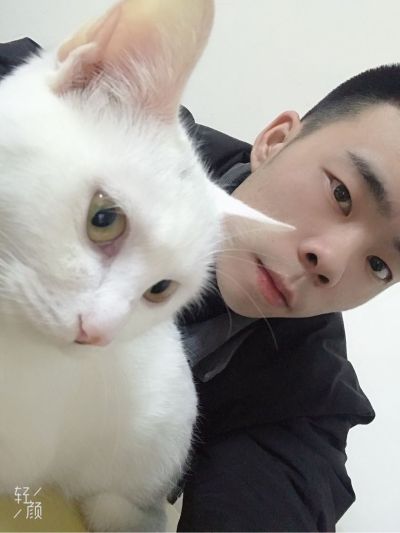 安装技师木工