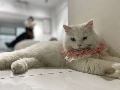 私人家装水电