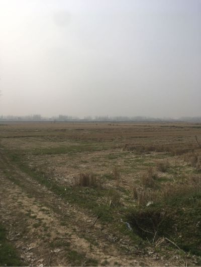 维修安装搬运