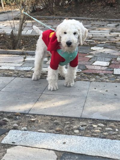 马桶晾衣架锁维修晾衣架