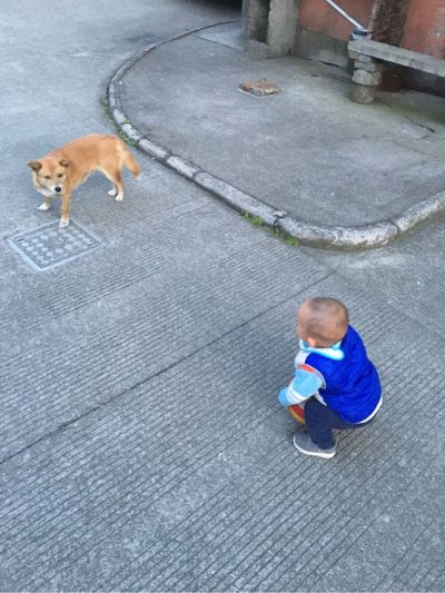 安装