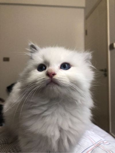 装修安装