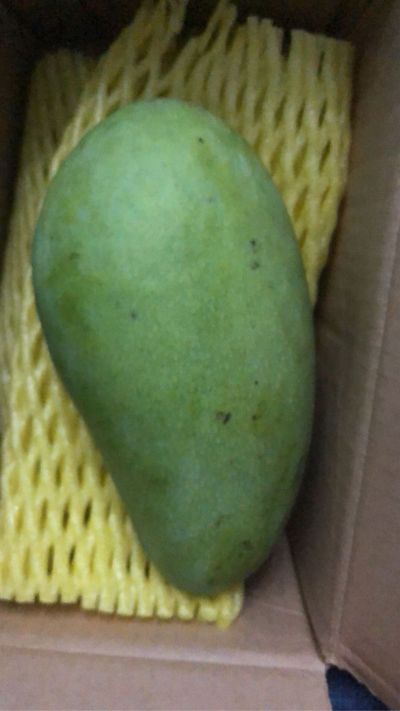 氩弧焊工