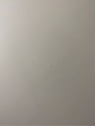 九里区