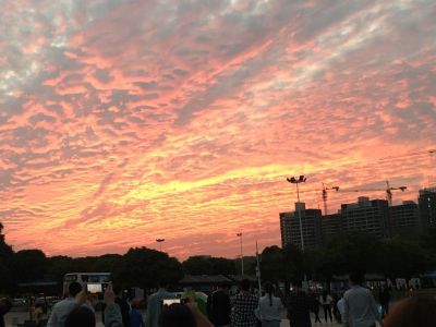 电工焊锡小工