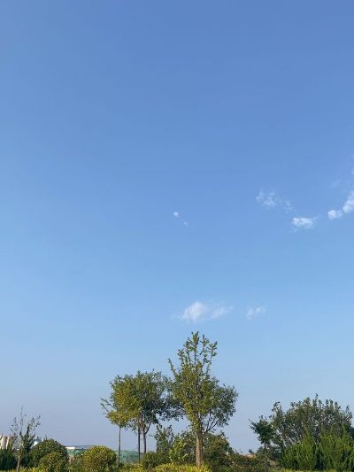 柜类床类桌类