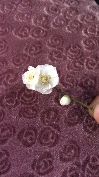 家具安装