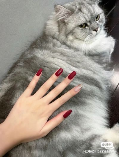 卫浴家电维修