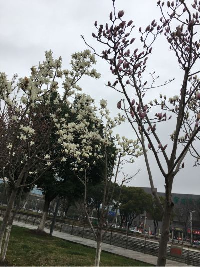 无