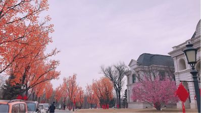 设计