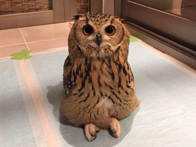 电工
