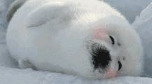 地毯安装维修