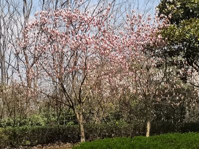 公寓家具安装师傅。要求会做。钦州路777号。干到年底。明年接着干。会收口的大师傅4个。不会收口的不要联系了