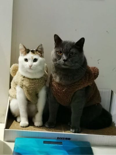 体力活