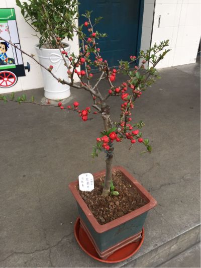建筑工程