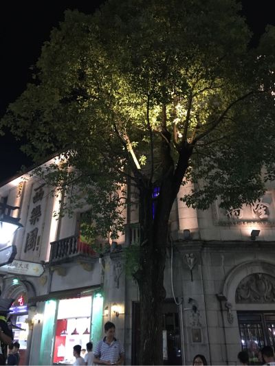 南阳淅川招砼工，地坪工，整体大包，包工包料。只干工的勿扰。
一楼新做8cmC25混凝土+固化剂180平
二楼水泥砂浆找平（要求平整无裂纹，收光不起沙）120平