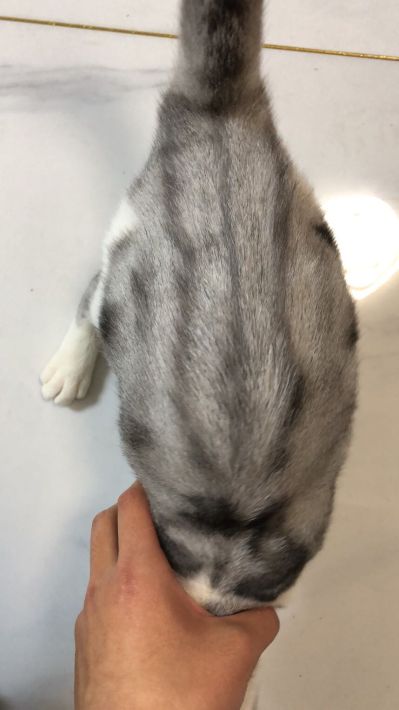 水电维修