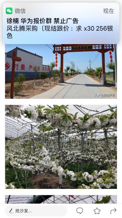 手机批发