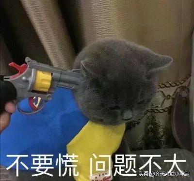 快递专送配送