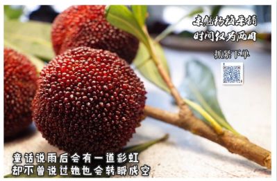 专业