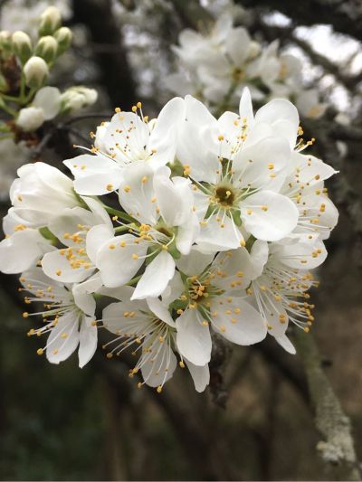 全铝家居