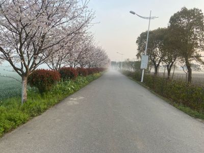 厨柜门移门拉货