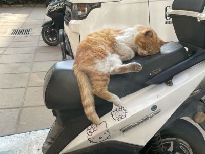 工人