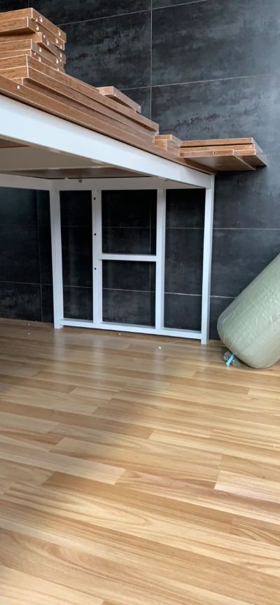 体育