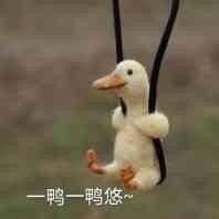 无货车长途运输