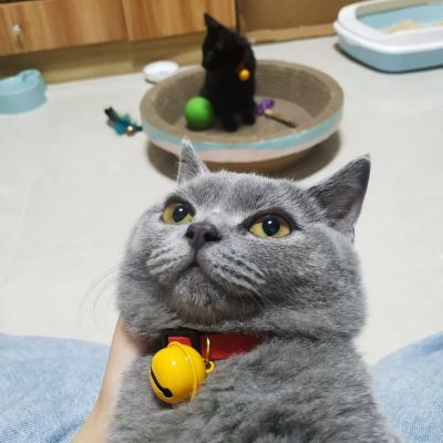 家具安装家具