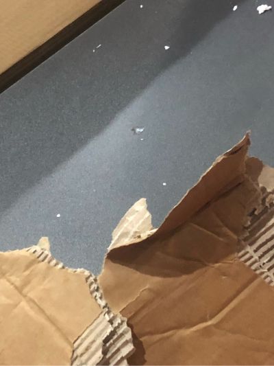 普通