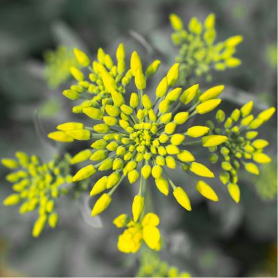 弱电弱电监控电脑