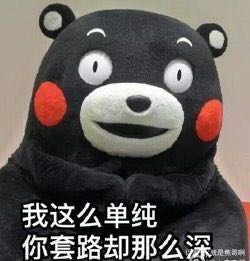 搬运瓦工司机