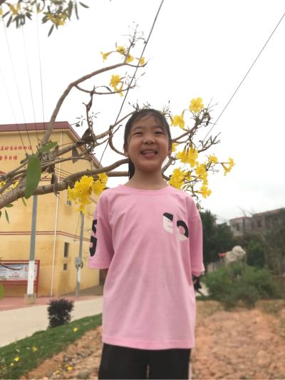 监控系统