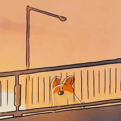 装修晋雄建筑装饰