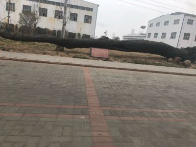 手把焊二保焊