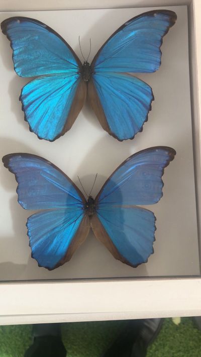 装修环保检测
