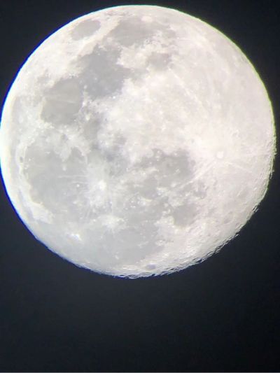 树木空调