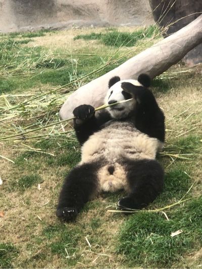 智能化安装装修装饰土木工程通信工程