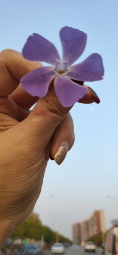 专业安装水电